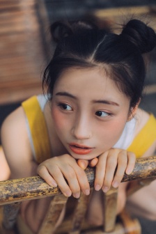 孤岛飞鹰鸽子是谁